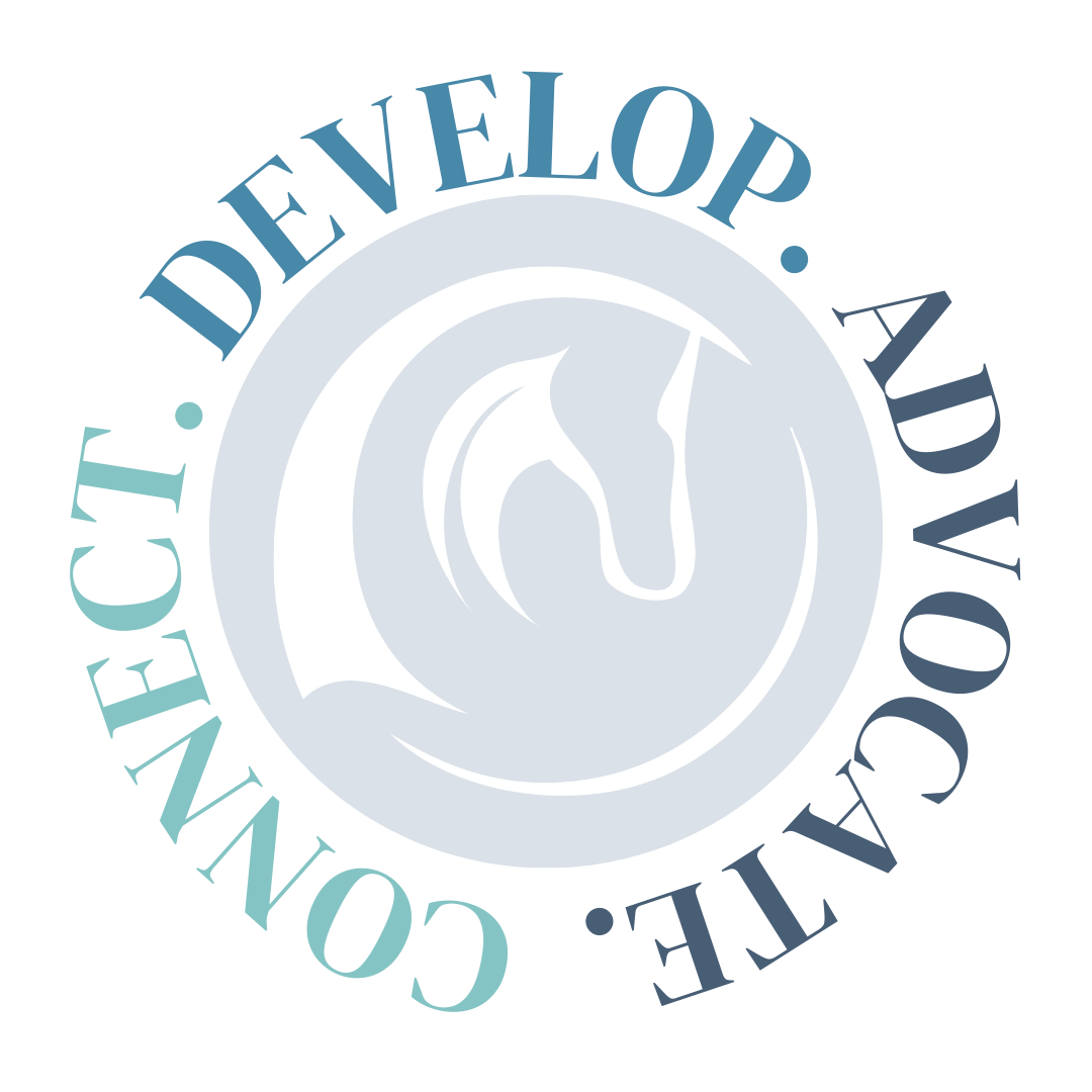 Chamber Areas of Focus Chamber Areas of Focus